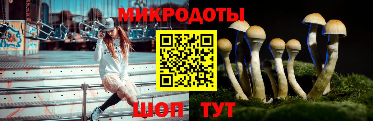 Псилоцибиновые грибы MAGIC MUSHROOMS  Вход с VPN  Ростов Великий 