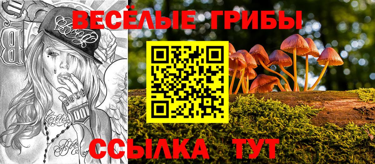 Псилоцибиновые грибы Psilocybine cubensis Ростов Великий